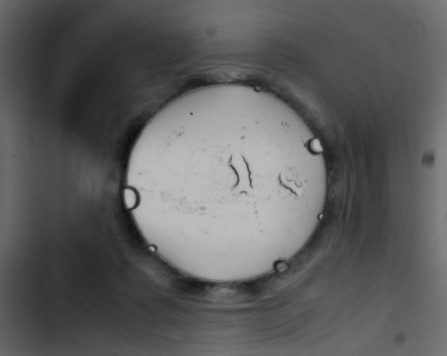 X0000103900315200809191101