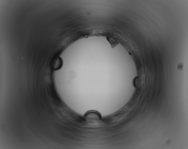 X0000103900316200809191101