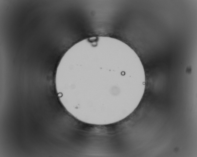 X0000103900317200809191101