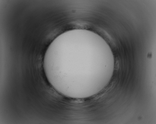 X0000103900318200809191101
