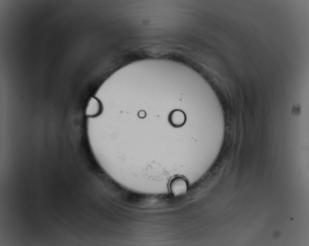 X0000103900319200809191101