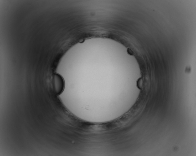 X0000103900320200809191101