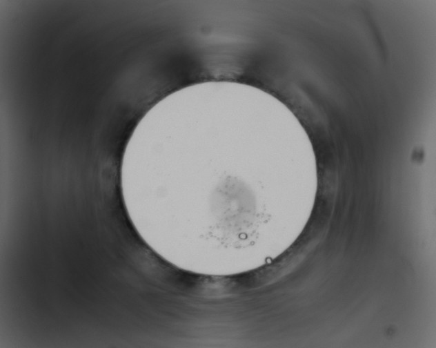 X0000103900321200809191101