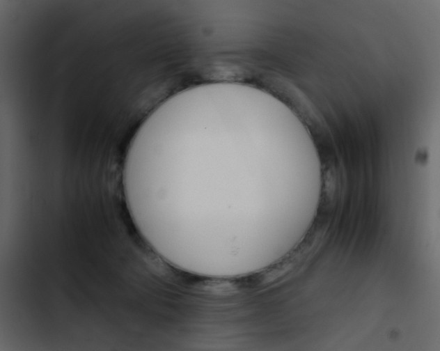 X0000103900322200809191101
