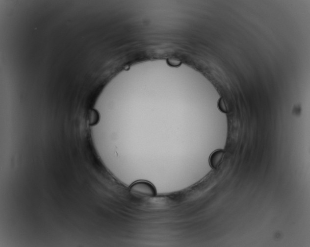 X0000103900324200809191101