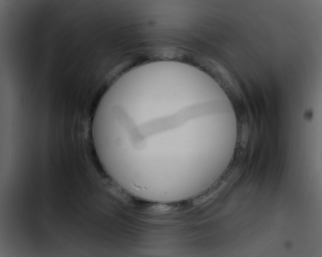 X0000103900326200809191101