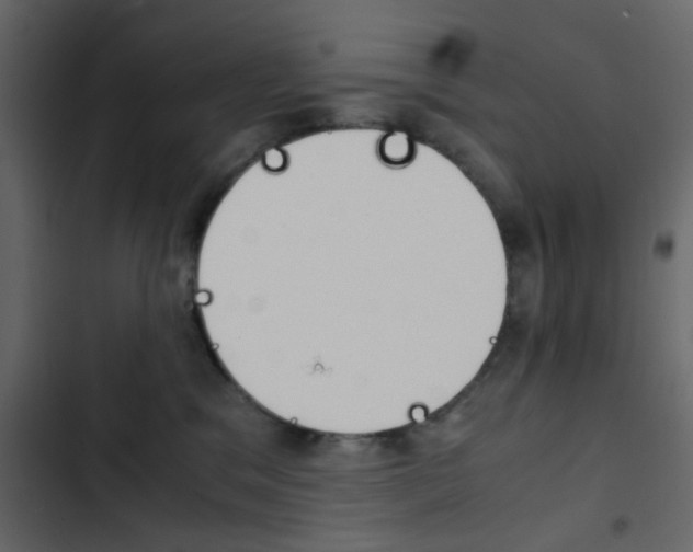 X0000103900329200809191101