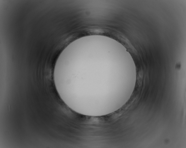 X0000103900330200809191101