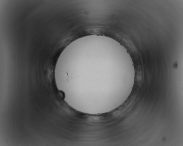 X0000103900332200809191101