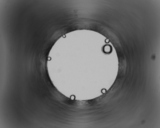 X0000103900333200809191101