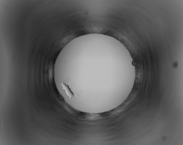 X0000103900334200809191101