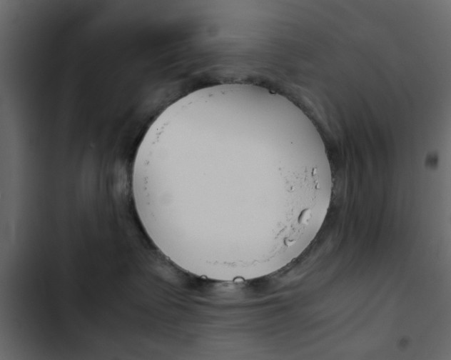 X0000103900335200809191101