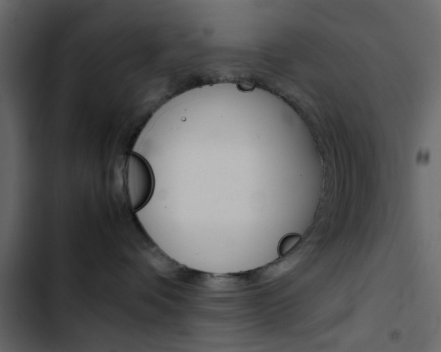 X0000103900336200809191101