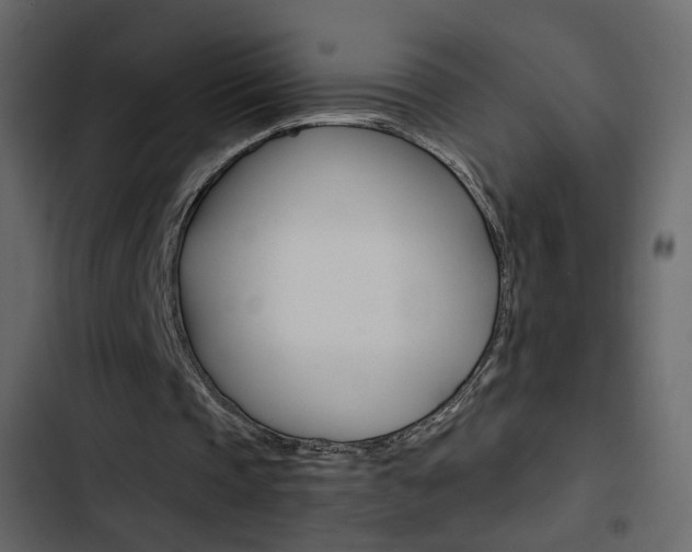 X0000103900337200809191100