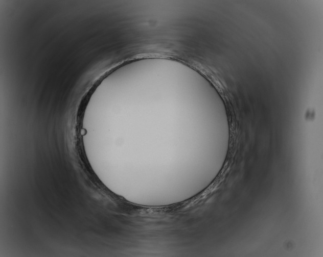 X0000103900338200809191100