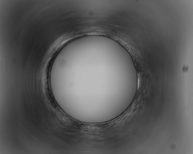 X0000103900339200809191100