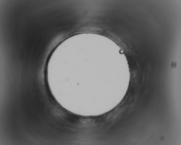X0000103900340200809191100