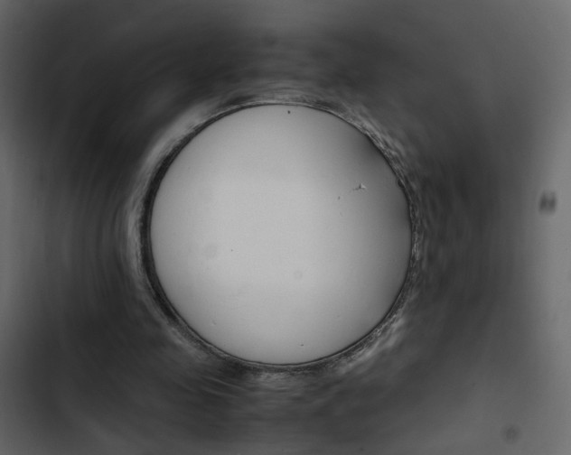 X0000103900341200809191100