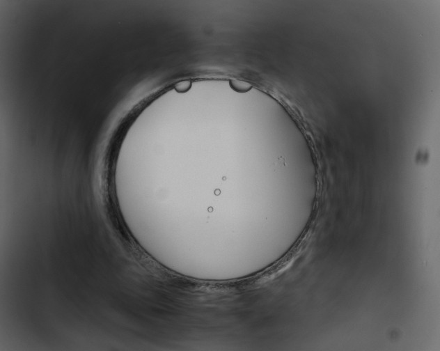 X0000103900343200809191100