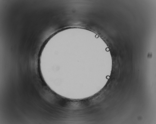 X0000103900344200809191100