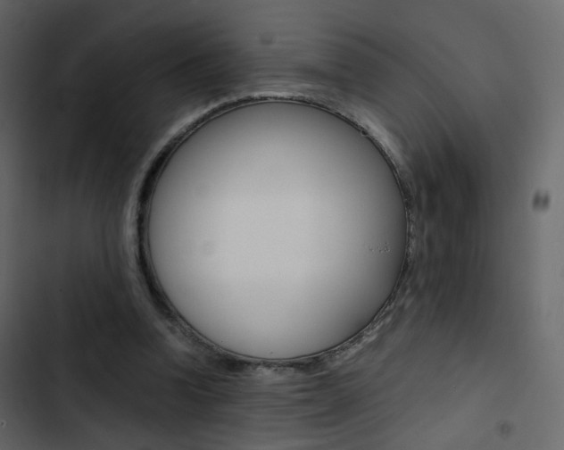 X0000103900346200809191100