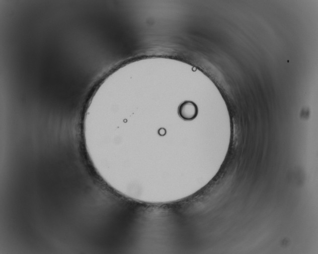 X0000103900348200809191100