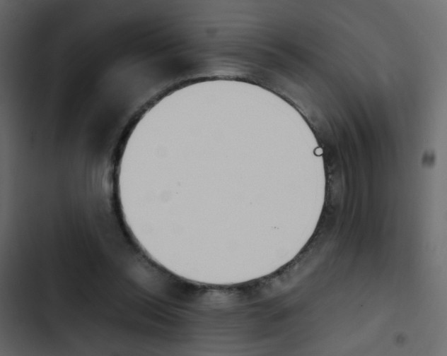 X0000103900350200809191100