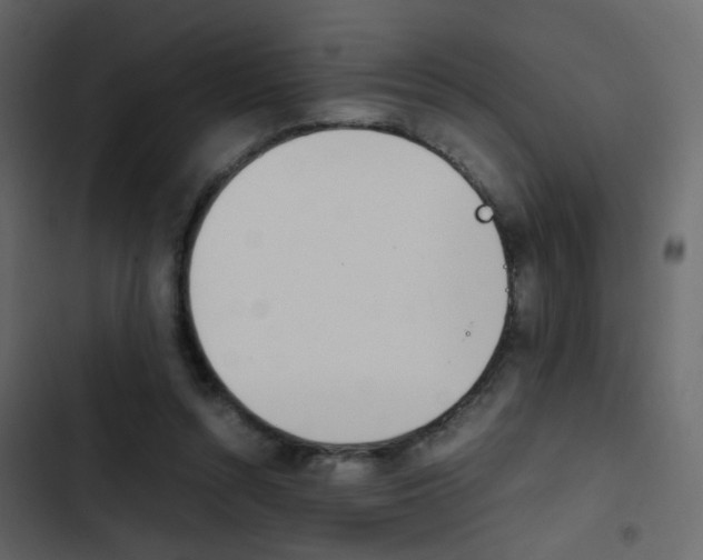 X0000103900352200809191100