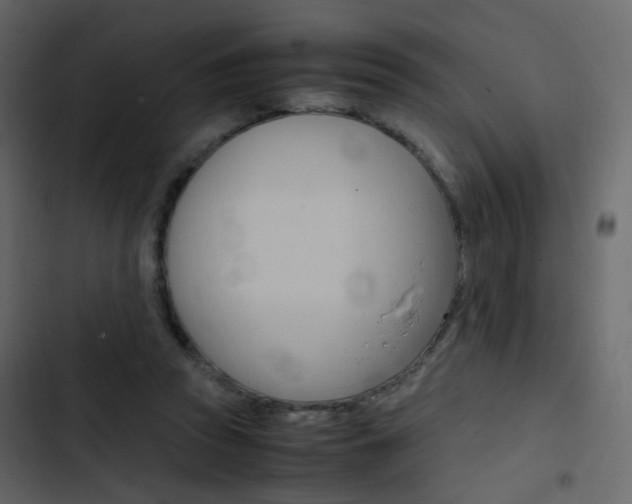 X0000103900353200809191100