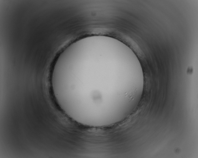 X0000103900354200809191100