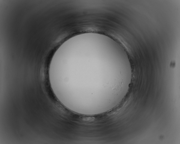 X0000103900355200809191100