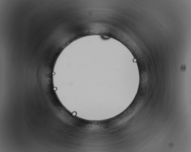 X0000103900356200809191100