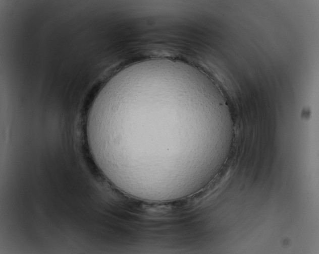 X0000103900359200809191100