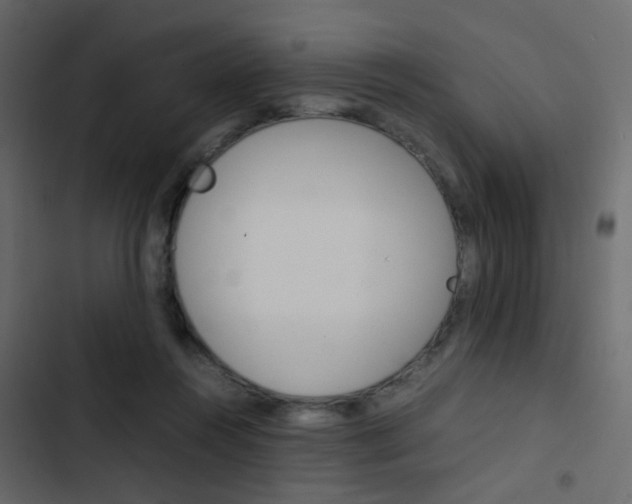 X0000103900360200809191100