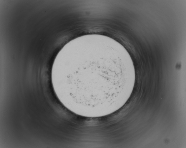 X0000103900362200809191100