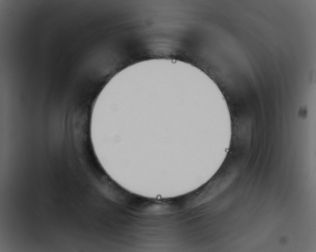 X0000103900364200809191101