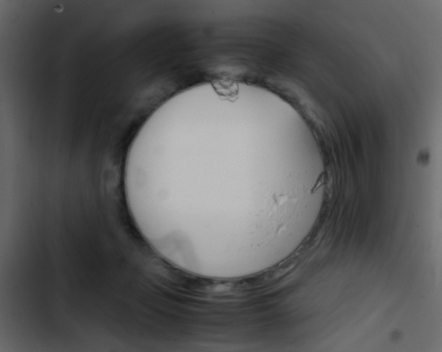 X0000103900365200809191101
