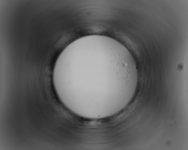 X0000103900366200809191101