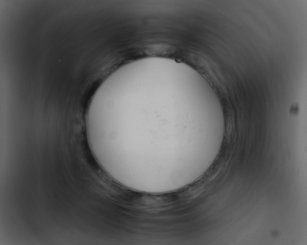 X0000103900367200809191101