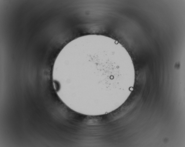 X0000103900368200809191101