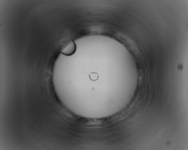X0000103900369200809191101