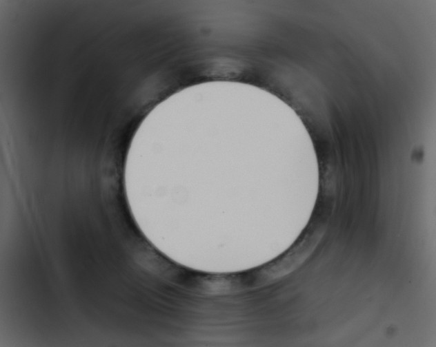 X0000103900370200809191101