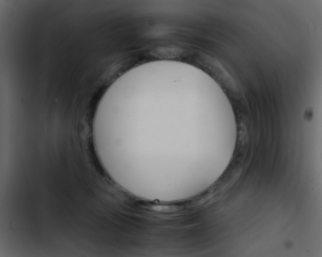 X0000103900371200809191101