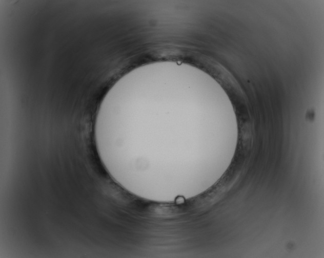 X0000103900372200809191101