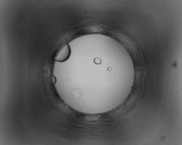 X0000103900373200809191101