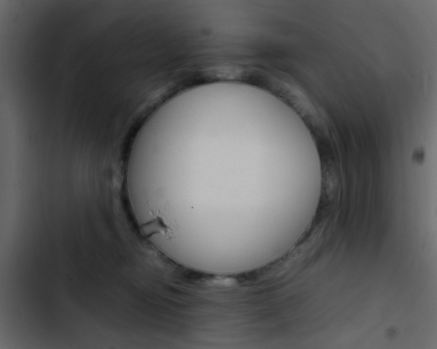 X0000103900374200809191101