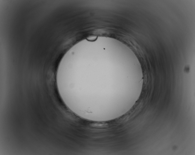 X0000103900375200809191101
