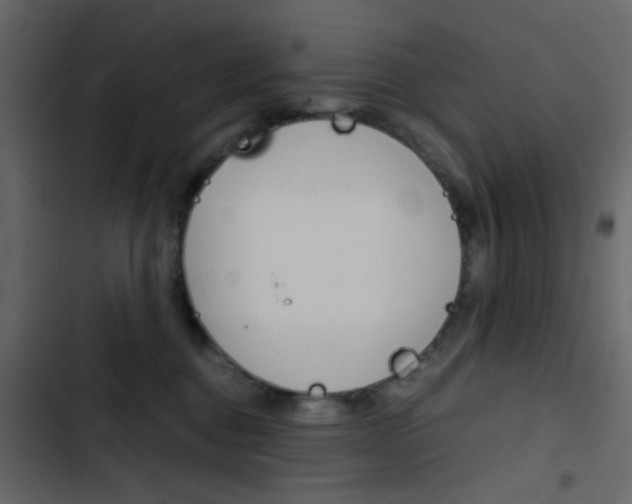 X0000103900376200809191101