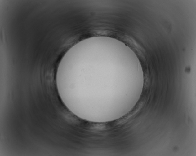 X0000103900377200809191101