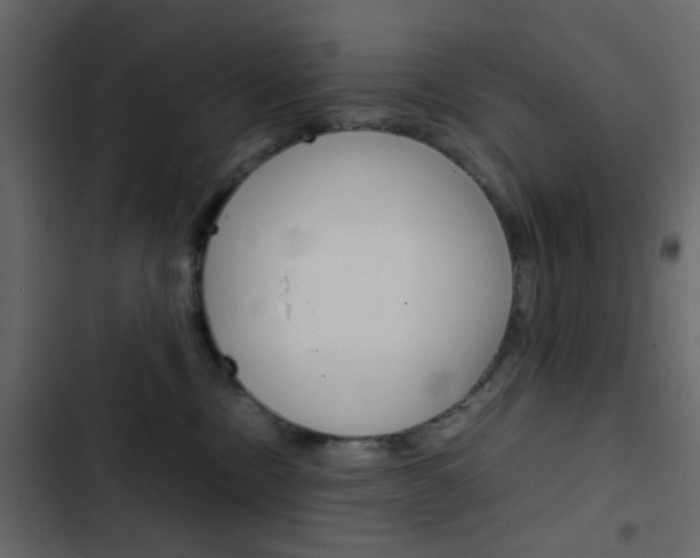 X0000103900378200809191101